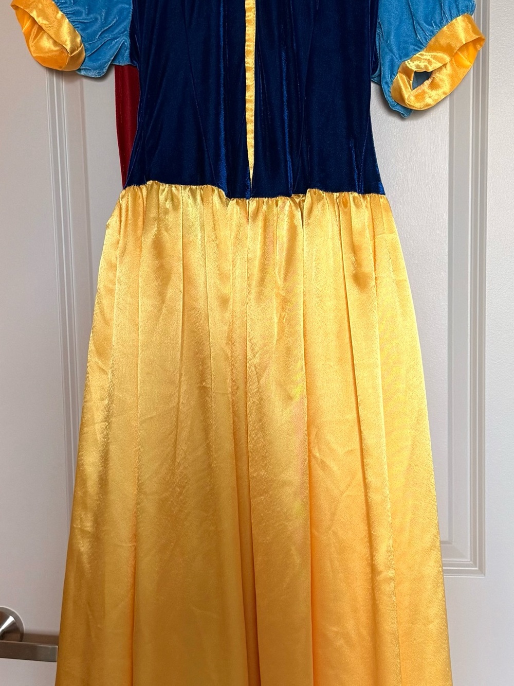 Woman’s Princess Costume Dress in Blue and Yellow